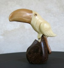 TOUCAN, joli toucan en iv