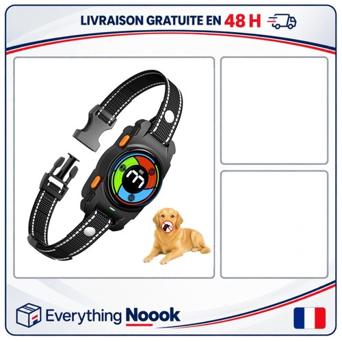 Collier anti aboiement - aboiement, chien