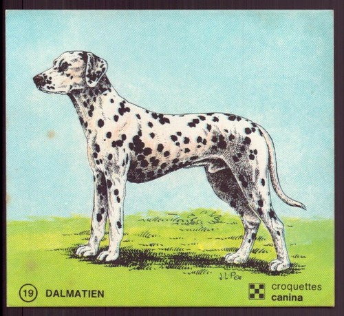 Autocollant canina - ", "