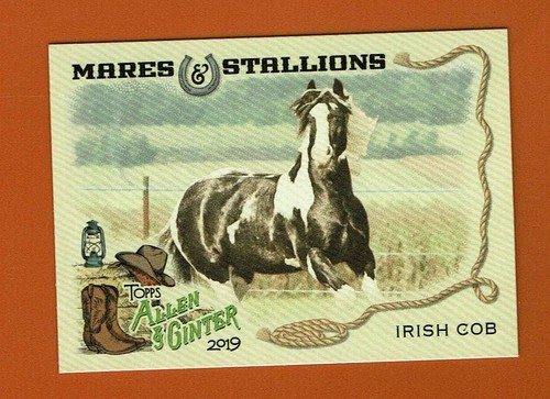 2019 topps allen ginter - allen,