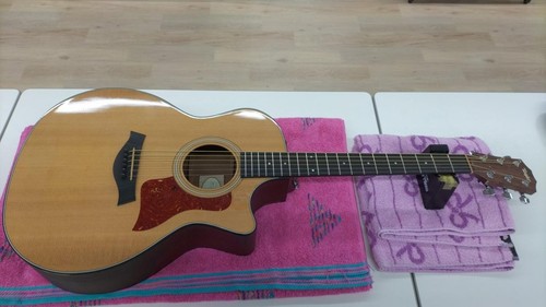 Guitare électrique acoustique