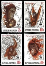 Indonesia 1989  WWF Orangutan stamps Timbres SG#1920-123 /MI.1291-194 MNH'' G108