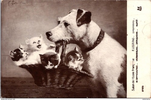23757 cpa fantaisie chien - cpa,