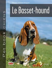 Basset hound | Medard-Ringuet