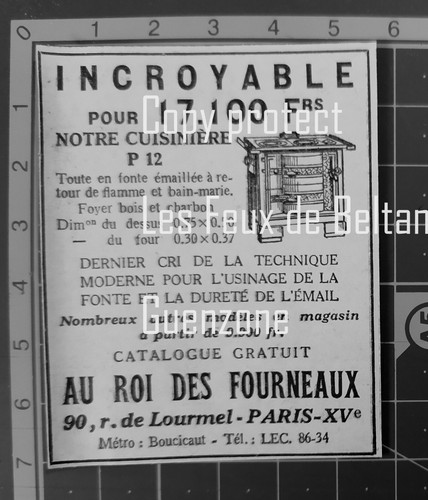 Roi des fourneaux - roi,
