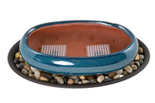 7.25" Oval Teal Green Bonsai /