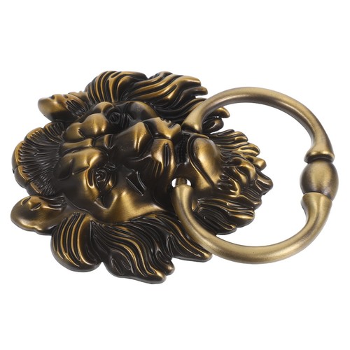 Tête lion décorative - tête, de