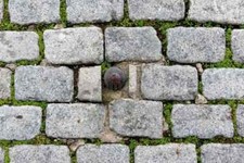 Pavés granit rose rectangle