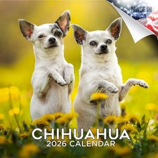 Chihuahua Dog Breed Calendar 2026 FULL SIZE 12x24 Made in USA