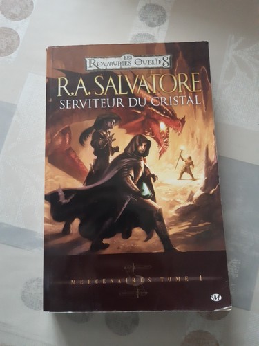 Roman les royaumes oubliés - royaumes,