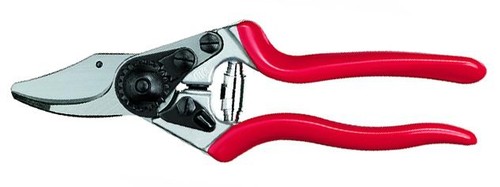 Sécateur pour taille felco - sécateur,