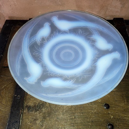 Coupe verre moulé pressé - verre,