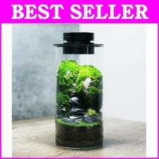 Rechargeable Desktop Terrarium