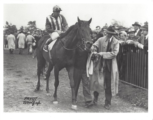 Pavot 8x10 photo horse racing - pavot,