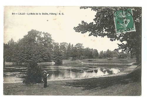 Lille bois de la - 59,