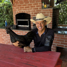 Ayam Cemani Rare Black Chicken