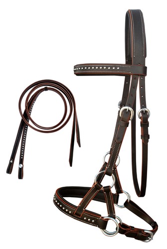 Horse western english leather - english,