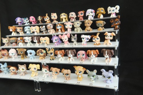 Lps nombreux chiens - lps,