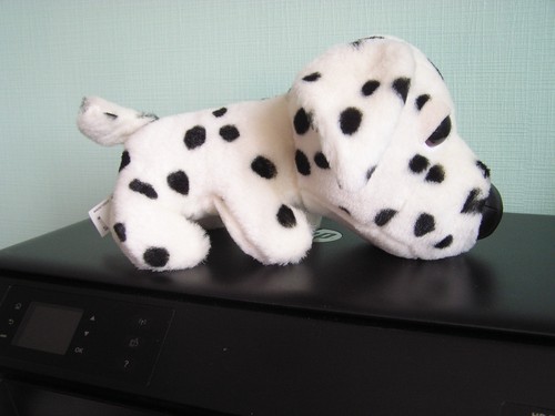 Peluche doudou chien - doudou, :