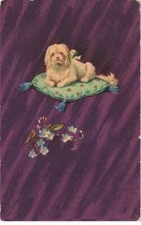 MIKI-DP6-042- CHIEN SUR UN COUSSIN PAR EMKA KLEIN MYOSOTIS