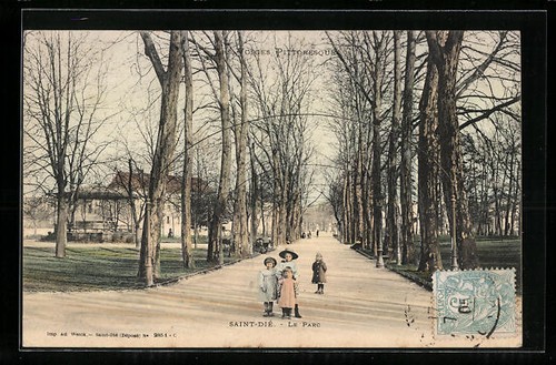 Cpa saint die parc - le,