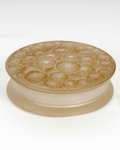 Boite marguerites verre blanc - boite,