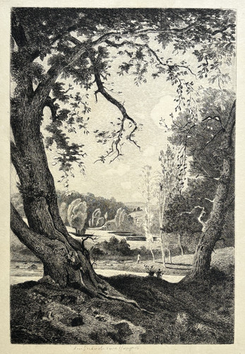 Vieux noyer gravure - vieux, forte