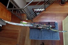 arc de chasse Hoyt "Gamemaster