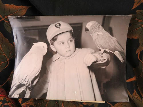 Old film photo - boy, with