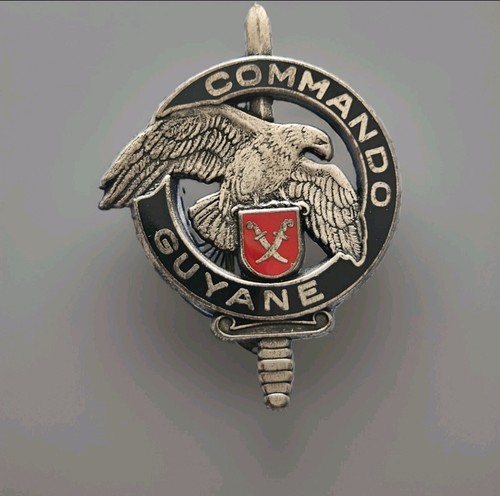 Insigne militaire badge armée - badge,
