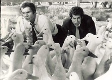 PHOTO PRESS CINEMA TELEVISION RTBF LA CANE AUX OEUFS D'OR DEAN JONES T.ROBERT