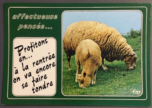 Carte postale humoristique - postale,