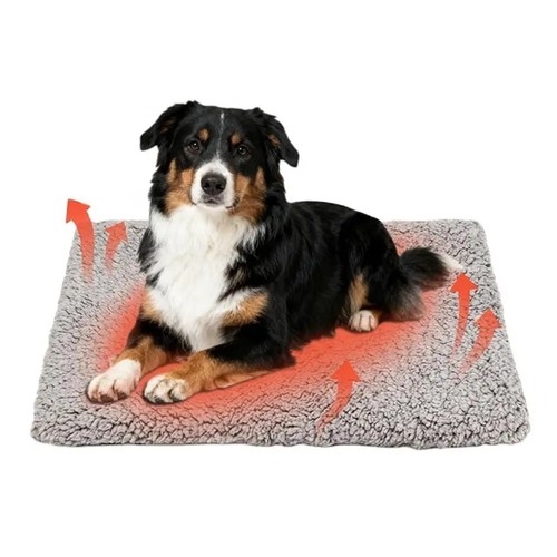 Tapis auto chauffant - auto-chauffant, chat