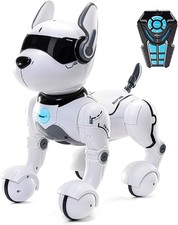Top Race Jouet Chien Robot