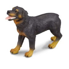 Col88189  Rottweiler  Taille L