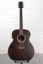 Washburn Deep Forest Ebony FE
