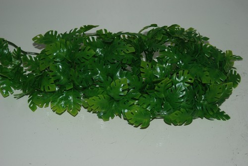 Terrarium petit jungle - petit,