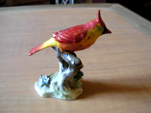 Bel oiseau cardinal fine - oiseau,