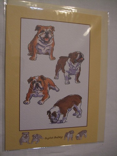 Carte enveloppe chien - carte,