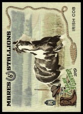 2019 Topps Allen & Ginter