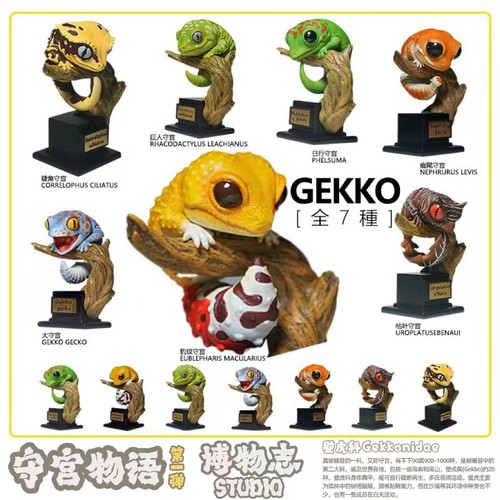 Pet gekko wall lizard reptilia - gekko,