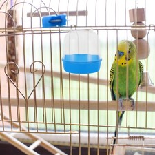 Accessoires Pour Cages À