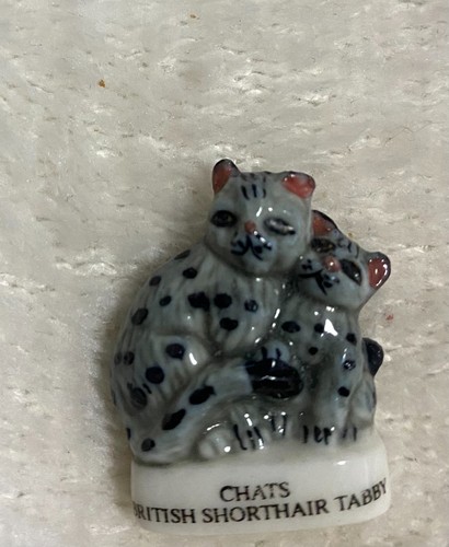 Feve chat british shorthair - feve,