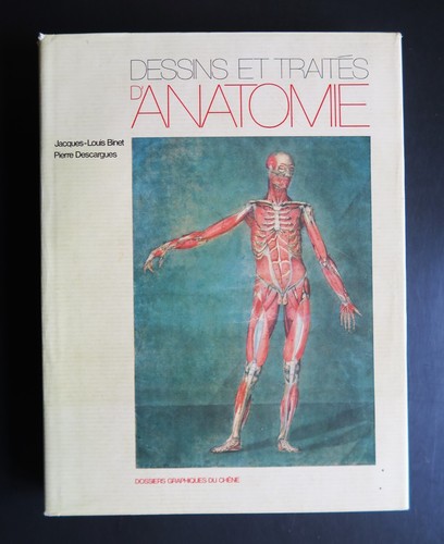 Dessins traites anatomie - dessins, et