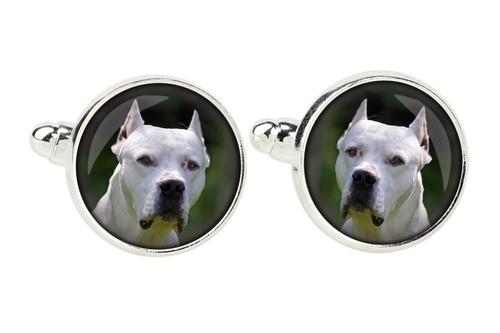 Dogue argentin épingle - , de
