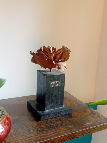 Trophée théâtre espagnol - trophée,