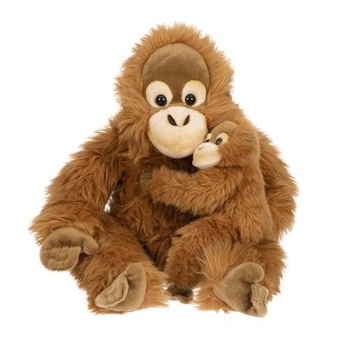 Orangutan with baby sitting - with,