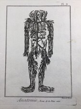 Angiologie 1779 Anatomie Medecine Vasculaire Rare Gravure Encyclopédie Diderot