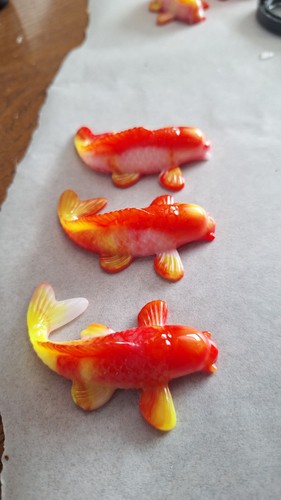 Lot carpe koi - 3,