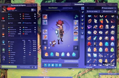 Compte dofus feca 200 serveur - compte,